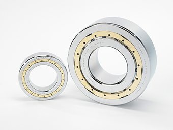 NP type cylindrical roller bearings (RIT, RT)