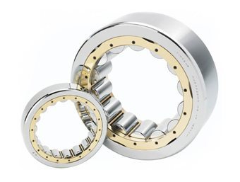 NF type cylindrical roller bearing (RIF, RF)