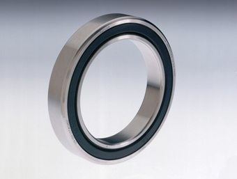Radial joint bearing with lip seal ring